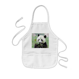Schort Foto reus panda, animal 0084.