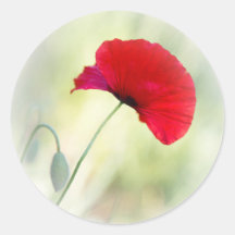 Schort met rode klaproos "Wees blij!"