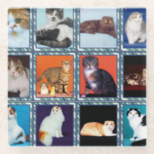 schotel glazen onderzetter