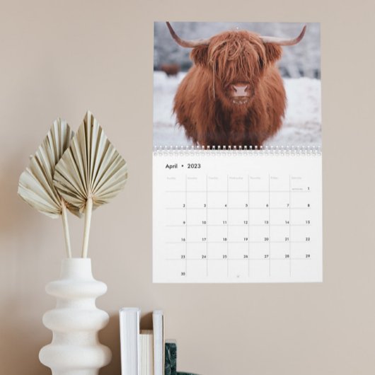 Schotland Boerderij Dier Hooglanders Elk jaar Kalender