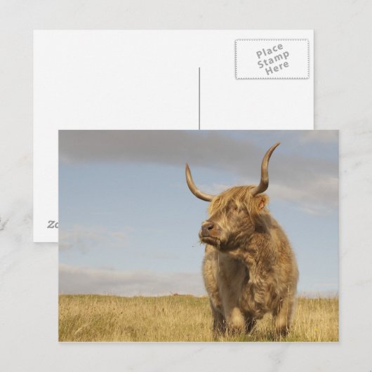 Schotland Briefkaart (Voorkant / Achterkant)