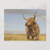 Schotland Briefkaart (Voorkant)