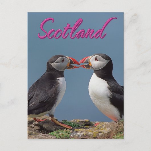 Schotland Briefkaart (Voorkant)