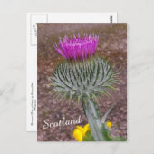 Schotland, de Thistle Briefkaart (Voorkant / Achterkant)