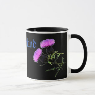 Schotland, distel de nationale bloem van mok