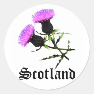 Schotland, distel ronde sticker