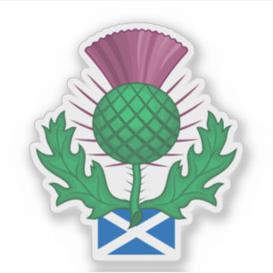 Schotland Distel Sticker