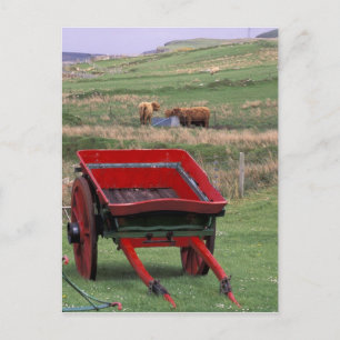 Schotland, eiland Skye, Kilmuir. Farm Animals Briefkaart