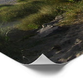 schotland Findhorn Boardwalk Poster (Hoek)