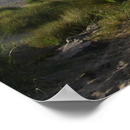 schotland Findhorn Boardwalk Poster (Hoek)