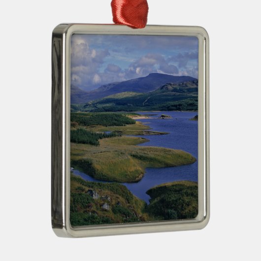 Schotland, Highland, Wester Ross, Loch Garry. Een Metalen Ornament (Rechts)