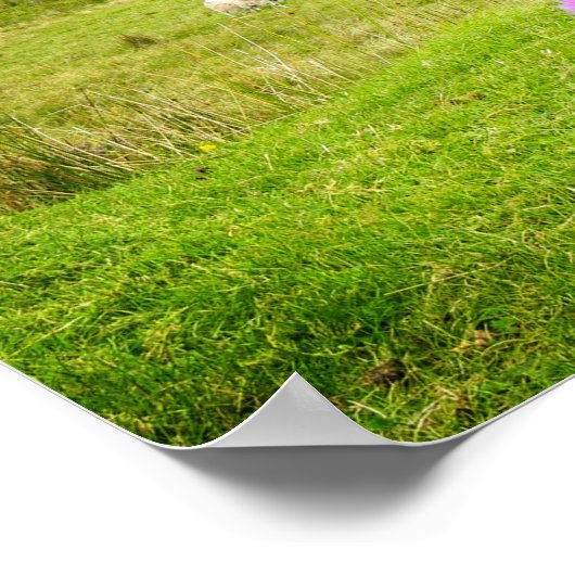 Schotland Highlands Thistle Landscape Poster (Hoek)