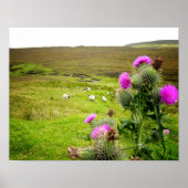 Schotland Highlands Thistle Landscape Poster (Voorkant)