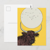 Schotland Hoogland Koe Briefkaart (Voorkant / Achterkant)