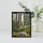 Schotland in de lente briefkaart (Staand voorkant)