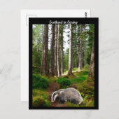 Schotland in de lente briefkaart (Voorkant / Achterkant)