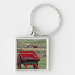 Schotland, Isle of Skye, Kilmuir. Boerderijdieren Sleutelhanger