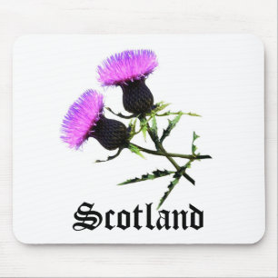 Schotland Muismat