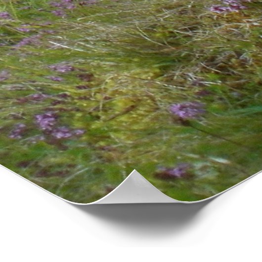 Schotland poster (Hoek)