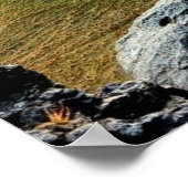 Schotland, prachtig berglandschap poster (Hoek)