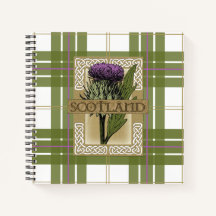 Schotland Schotse Thistle Gold Celtic Knots
