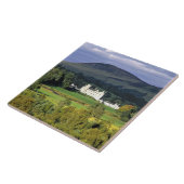 Schotland, Tayside, Blair Castle. In een smarald Tegeltje (Zijkant)