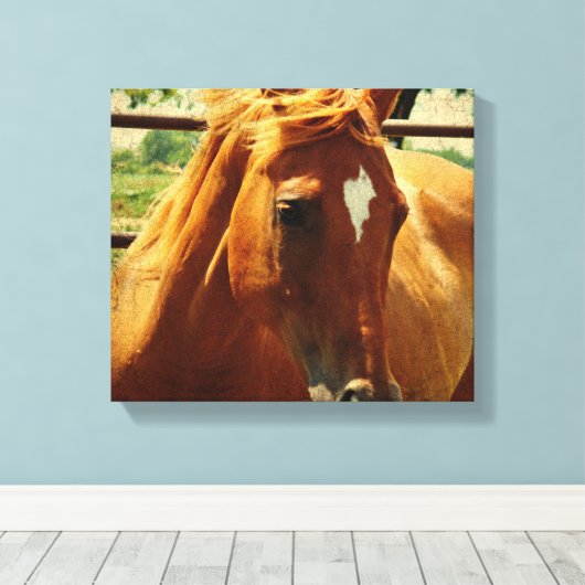 Schots Canvas Afdruk (Insitu (Houten vloer))