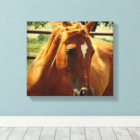 Schots Canvas Afdruk (Insitu (Houten vloer))