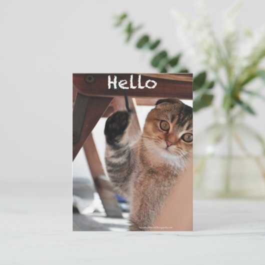 Schots-deeg noedels kat zegt hallo briefkaart (Staand voorkant)