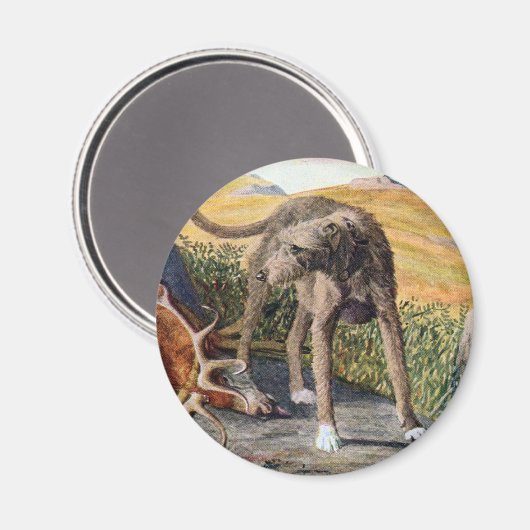 Schots deerhound magneet (Voorkant / Achterkant)