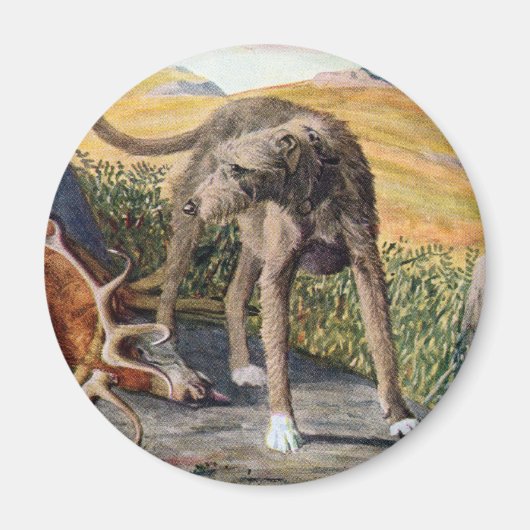Schots deerhound magneet (Voorkant)