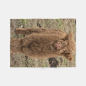 Schots deken voor de foto van de Schotse hoogland- (Voorkant (Horizontaal))