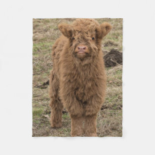 Schots deken voor de foto van de Schotse hoogland-