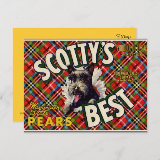  Schots "Dog"-label - briefkaart (Voorkant / Achterkant)