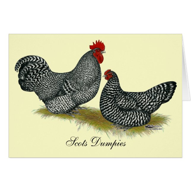 Schots Dumpy Chickens (Voorkant Horizontaal)