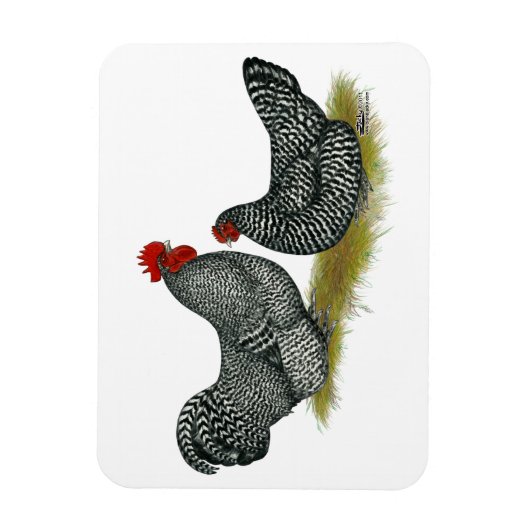 Schots Dumpy Chickens Magneet (Verticaal)
