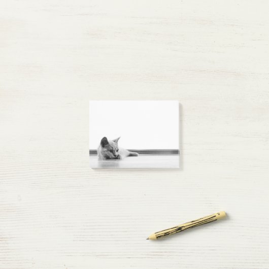Schots flinterkattekatje supergeluid post-it® notes (Op bureau)