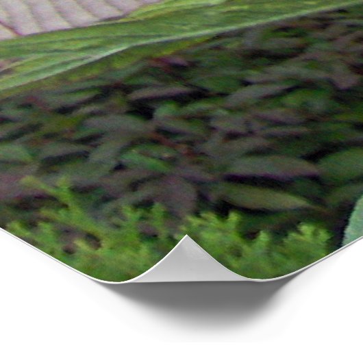 Schots heistel poster (Hoek)