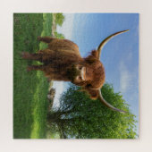 Schots hoogland Koe Legpuzzel (Horizontaal)