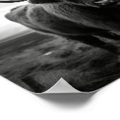 Schots hoogland Koe zwarte en witte foto Poster (Hoek)