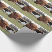 Schots hoogland vee ~ Verpakkingspapier Cadeaupapier (Hoek)