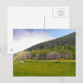 Schots hooglandschap briefkaart (Voorkant / Achterkant)