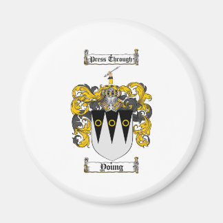 Schots jong wapen Stein - Familie Crest Magneet