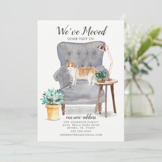 Schots kattenhuis - aankondiging (Staand voorkant)