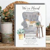 Schots kattenhuis - aankondiging