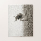 Schots-koeienfoto Legpuzzel (Verticaal)