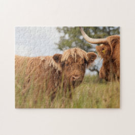 Schots-koeienfoto Legpuzzel