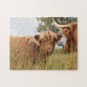 Schots-koeienfoto Legpuzzel