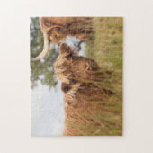 Schots-koeienfoto Legpuzzel (Verticaal)