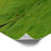 Schots Landschap Poster (Hoek)